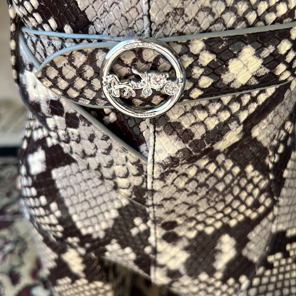 Amazing Coach python skin booties 👌🔥🔥🔥 - Picture 10 of 15